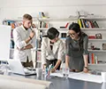 Business Management Consulting Services & Solutions - 狗子28